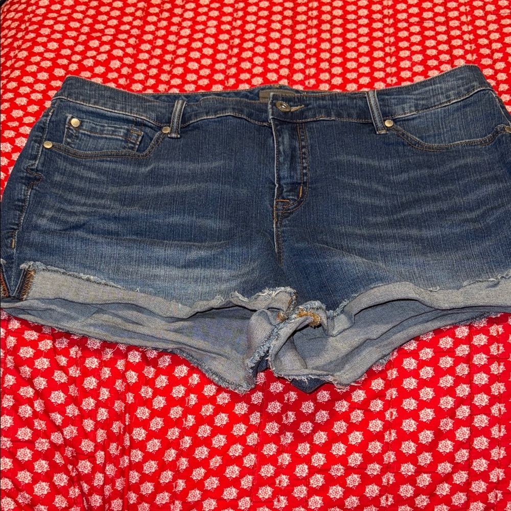 Torrid shorts